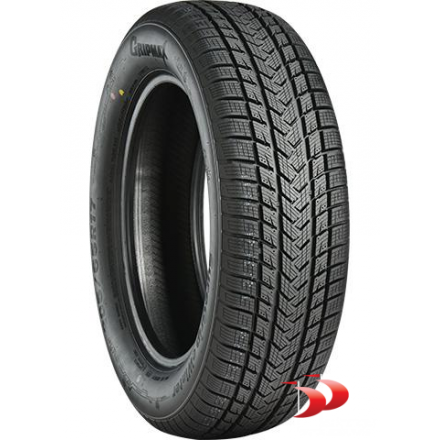 Gripmax 205/45 R17 88V XL Suregrip E Winter