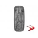 Padangos Sava 205/55 R16 91H Eskimo HP2